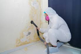 Trusted East Troy, WI Mold Remediation Experts